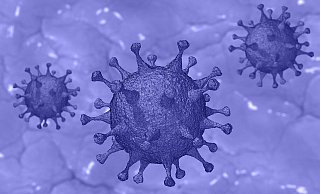 Das Coronavirus soll durch die Mutanten laut Experten deutlich ansteckender sein. - Pixabay Das Coronavirus soll durch die Mutanten laut Experten deutlich ansteckender sein. - Pixabay
