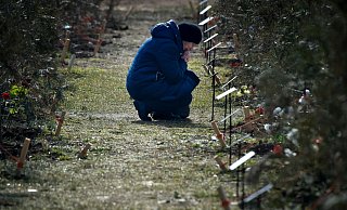 Eine Mutter trauert um ihren gefallenen Sohn auf der Allee der Helden in Sewastopol. - Uncredited/AP/dpa Eine Mutter trauert um ihren gefallenen Sohn auf der Allee der Helden in Sewastopol. - Uncredited/AP/dpa