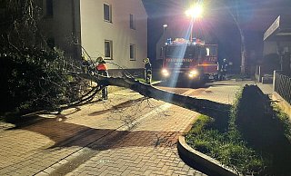 Die Feuerwehr war in der Nacht vor allem damit beschäftigt, Bäume zu zersägen, damit Straßen wieder passierbar werden. - Feuerwehr Die Feuerwehr war in der Nacht vor allem damit beschäftigt, Bäume zu zersägen, damit Straßen wieder passierbar werden. - Feuerwehr
