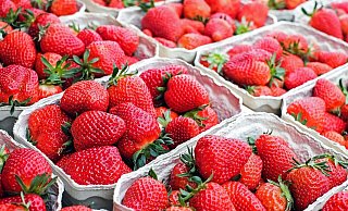 Lecker: Im Kreis Herford ist die Erdbeersaison gestartet. - Symbolfoto: Pixabay Lecker: Im Kreis Herford ist die Erdbeersaison gestartet. - Symbolfoto: Pixabay
