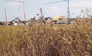 Baufortschritt: Im neuen Wohnquartier wird eifrig gebaut. - Hans-Hermann Igges Baufortschritt: Im neuen Wohnquartier wird eifrig gebaut. - Hans-Hermann Igges
