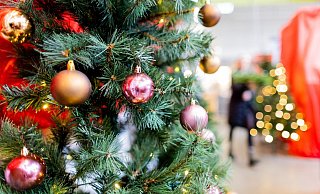 Weihnachten ohne Weihnachtsbaum ist für viele undenkbar. Doch der ökologische Fußabdruck einiger Arten ist ziemlich groß. - Rolf Vennenbernd/dpa Weihnachten ohne Weihnachtsbaum ist für viele undenkbar. Doch der ökologische Fußabdruck einiger Arten ist ziemlich groß. - Rolf Vennenbernd/dpa