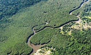 Ein kleiner Fluss schlängelt sich durch den Amazonas-Regenwald. Das brasilianische Amazonasgebiet gilt als CO2-Speicher. - Jens Büttner/dpa Ein kleiner Fluss schlängelt sich durch den Amazonas-Regenwald. Das brasilianische Amazonasgebiet gilt als CO2-Speicher. - Jens Büttner/dpa