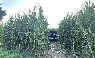 Der VW des Hillers wurde nach dem heftigen Zusammenstoß in ein Maisfeld geschoben. MT-Foto:. MT-Foto: - Janina Pietruschka Der VW des Hillers wurde nach dem heftigen Zusammenstoß in ein Maisfeld geschoben. MT-Foto:. MT-Foto: - Janina Pietruschka