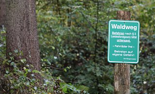 Waldweg: Das Betreten geschieht auf eigene Gefahr - so steht es auf diesem Schild im Kreis Höxter. - Simone Flörke Waldweg: Das Betreten geschieht auf eigene Gefahr - so steht es auf diesem Schild im Kreis Höxter. - Simone Flörke