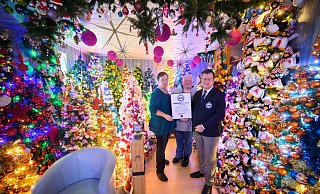 Weihnachtsbäume über Weihnachtsbäume schmücken ein Haus in Niedersachsen (Foto aktuell). - Julian Stratenschulte/dpa Weihnachtsbäume über Weihnachtsbäume schmücken ein Haus in Niedersachsen (Foto aktuell). - Julian Stratenschulte/dpa