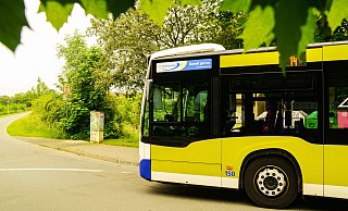 Der Padersprinter plant eine neue Wendeanlage am Gut Lippesee. Dafür soll ein Schotterparkplatz teils weichen. - Padersprinter Der Padersprinter plant eine neue Wendeanlage am Gut Lippesee. Dafür soll ein Schotterparkplatz teils weichen. - Padersprinter