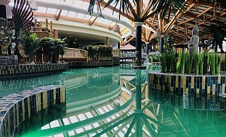 Das Wsser der Therme wird künftig grün beleuchtet. Pflanzen und Dekoration sollen den Badegästen ein Dschungelerlebnis bieten. - Silke Wedler/Bali-Therme Das Wsser der Therme wird künftig grün beleuchtet. Pflanzen und Dekoration sollen den Badegästen ein Dschungelerlebnis bieten. - Silke Wedler/Bali-Therme
