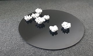 Dieses Modell zeigt, wie die Rikus-Rosen präsentiert werden sollen. - Stadt Paderborn Dieses Modell zeigt, wie die Rikus-Rosen präsentiert werden sollen. - Stadt Paderborn