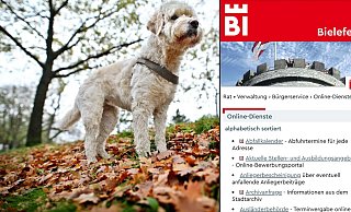 Einige Amtsgänge rund um den Hund können jetzt online erledigt werden. - Sarah Jonek/ Christine Panhorst Einige Amtsgänge rund um den Hund können jetzt online erledigt werden. - Sarah Jonek/ Christine Panhorst