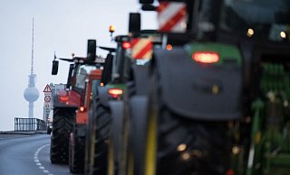 Traktoren fahren zu einer Protestdemonstration am Brandenburger Tor Richtung Innenstadt. Laut Polizei werden etwa 10.000 Teilnehmer und 5000 Fahrzeuge erwartet. - Sebastian Christoph Gollnow/dpa Traktoren fahren zu einer Protestdemonstration am Brandenburger Tor Richtung Innenstadt. Laut Polizei werden etwa 10.000 Teilnehmer und 5000 Fahrzeuge erwartet. - Sebastian Christoph Gollnow/dpa