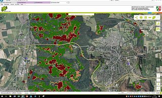 Bei Bad Driburg (r.) sind auf der mit Satellitendaten gespeisten Karte einige rote Flecken zu erkennen. - Wald und Holz Bei Bad Driburg (r.) sind auf der mit Satellitendaten gespeisten Karte einige rote Flecken zu erkennen. - Wald und Holz
