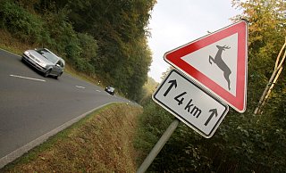 Die Polizei appelliert an die Autofahrer, bei diesen Gefahrenzeichen besonders vorsichtig und aufmerksam zu fahren. - David Schellenberg Die Polizei appelliert an die Autofahrer, bei diesen Gefahrenzeichen besonders vorsichtig und aufmerksam zu fahren. - David Schellenberg