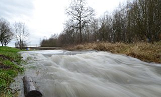 Zählt zu den Überschwemmungsgebieten: Die Große Aue führt nach starken Regenfällen deutlich mehr Wasser als sonst. - Joern Spreen-Ledebur Zählt zu den Überschwemmungsgebieten: Die Große Aue führt nach starken Regenfällen deutlich mehr Wasser als sonst. - Joern Spreen-Ledebur