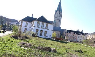 Der nach dem Tornado im Geisselschen Garten entstandene Wildwuchs ist im Vorfeld der Neugestaltung weitgehend entfernt worden. - Holger Kosbab Der nach dem Tornado im Geisselschen Garten entstandene Wildwuchs ist im Vorfeld der Neugestaltung weitgehend entfernt worden. - Holger Kosbab
