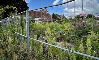 Das leerstehende Hotel-Restaurant Büscher in Bielefeld-Quelle verfällt seit Dezember 2023. Die Pflanzenwelt hat den Biergarten bereits rückerobert. - Susanne Lahr Das leerstehende Hotel-Restaurant Büscher in Bielefeld-Quelle verfällt seit Dezember 2023. Die Pflanzenwelt hat den Biergarten bereits rückerobert. - Susanne Lahr