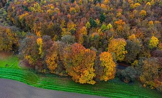 Der Reichswald bei Kleve war im Gespräch für einen Nationalpark. Doch auch in Kleve sprachen sich die Bürger dagegen aus. - Oliver Berg/dpa Der Reichswald bei Kleve war im Gespräch für einen Nationalpark. Doch auch in Kleve sprachen sich die Bürger dagegen aus. - Oliver Berg/dpa
