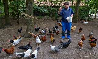 Der Hofbetrieb läuft auch während Corona weiter: Hier füttert Jan Ritter die muntere Hühnerschar. - Foto: Andreas Zobe/NW Der Hofbetrieb läuft auch während Corona weiter: Hier füttert Jan Ritter die muntere Hühnerschar. - Foto: Andreas Zobe/NW