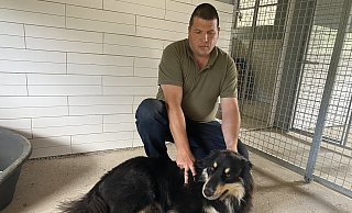Marc Mügge mit Pensionshund Smudo in einer der Boxen. - Dirk Windmöller Marc Mügge mit Pensionshund Smudo in einer der Boxen. - Dirk Windmöller