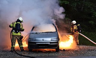 Feuerwehrmänner löschen ein brennendes Auto (Symbolbild). - Pixabay Feuerwehrmänner löschen ein brennendes Auto (Symbolbild). - Pixabay