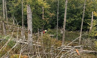 Versteckt im Unterholz war die 80-Jährige, die einen Abhang hinabgestürzt war, unter einem Baum eingeklemmt. - Feuerwehr Willebadessen Versteckt im Unterholz war die 80-Jährige, die einen Abhang hinabgestürzt war, unter einem Baum eingeklemmt. - Feuerwehr Willebadessen