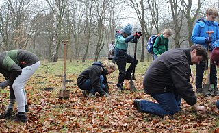 Mehr als 50 Paderbornerinnen und Paderborner aus unterschiedlichen Generationen helfen dabei, die zahlreichen Setzlinge zu verpflanzen. - Moritz Jülich Mehr als 50 Paderbornerinnen und Paderborner aus unterschiedlichen Generationen helfen dabei, die zahlreichen Setzlinge zu verpflanzen. - Moritz Jülich