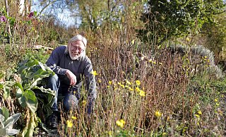 Gerd Teuteberg schneidet die Stauden in seinem naturnahen Garten erst im Frühjahr zurück. - Frank-Michael Kiel-Steinkamp Gerd Teuteberg schneidet die Stauden in seinem naturnahen Garten erst im Frühjahr zurück. - Frank-Michael Kiel-Steinkamp