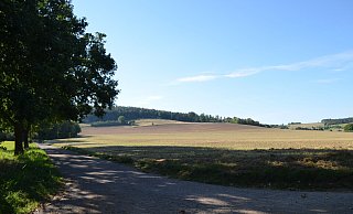 Die Lage von Amelunxen sorgt dafür, die umliegenden Hänge, die überwiegend als Ackerfläche landwirtschaftlich genutzt werden, bei einem Starkregen in Erd-Rutschbahnen zu verwandeln. - Nicole Fischer Die Lage von Amelunxen sorgt dafür, die umliegenden Hänge, die überwiegend als Ackerfläche landwirtschaftlich genutzt werden, bei einem Starkregen in Erd-Rutschbahnen zu verwandeln. - Nicole Fischer