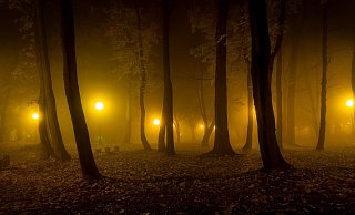 Nächtliche Beleuchtung in Bad Lippspringe soll eingeschränkt werden, fordern die Grünen im Stadtrat. - (Symbolbild) Pixabay Nächtliche Beleuchtung in Bad Lippspringe soll eingeschränkt werden, fordern die Grünen im Stadtrat. - (Symbolbild) Pixabay