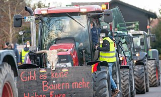 04.01.2024, Bayern, Günzburg: Der Schädel eines toten Rindes samt eines Plakats mit der Aufschrift "Gibt es keine Bauern mehr, bleiben eure Teller leer" sind bei einer Kundgebung des Bauernverbandes gegen die Sparpläne der Bundesregierung an einem Traktor angebracht. Mit mehr als 500 Traktoren demonstrierten Landwirte aus Nordschwaben und Ost-Württemberg. Foto: Stefan Puchner/dpa +++ dpa-Bildfunk +++ - Stefan Puchner 04.01.2024, Bayern, Günzburg: Der Schädel eines toten Rindes samt eines Plakats mit der Aufschrift "Gibt es keine Bauern mehr, bleiben eure Teller leer" sind bei einer Kundgebung des Bauernverbandes gegen die Sparpläne der Bundesregierung an einem Traktor angebracht. Mit mehr als 500 Traktoren demonstrierten Landwirte aus Nordschwaben und Ost-Württemberg. Foto: Stefan Puchner/dpa +++ dpa-Bildfunk +++ - Stefan Puchner