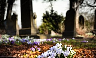"Wir können nicht länger zusehen, wie auf unserem friedlichen Friedhof mitten im Tal Sondermüll entsorgt wird", ärgert sich die Pfarrerin. - (Symbolbild): Pixabay "Wir können nicht länger zusehen, wie auf unserem friedlichen Friedhof mitten im Tal Sondermüll entsorgt wird", ärgert sich die Pfarrerin. - (Symbolbild): Pixabay