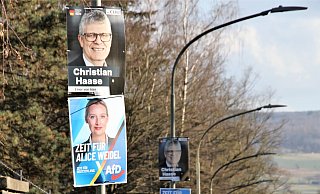 Die CDU, aber auch die in Teilen rechtsextremistische AfD gehört zu den großen Wahlgewinnern im Kreis Höxter. Hier Wahlwerbung an der Brenkhäuser Straße in Höxter. Foto: David Schellenberg - David Schellenberg Die CDU, aber auch die in Teilen rechtsextremistische AfD gehört zu den großen Wahlgewinnern im Kreis Höxter. Hier Wahlwerbung an der Brenkhäuser Straße in Höxter. Foto: David Schellenberg - David Schellenberg