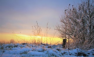 Sonnenuntergang auf dem schneeverschneiten Köterberg. Nachdem vor allem viele Familien in den vergangenen Tagen hierher zu Rodeln kamen, wird es jetzt wieder ruhig hier. - David Schellenberg Sonnenuntergang auf dem schneeverschneiten Köterberg. Nachdem vor allem viele Familien in den vergangenen Tagen hierher zu Rodeln kamen, wird es jetzt wieder ruhig hier. - David Schellenberg