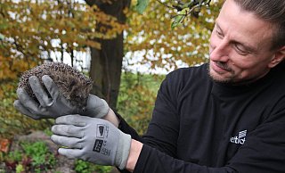 Jochen Ganzmann mit einem der kleinen Igel auf der Hand. - Anne Neul Jochen Ganzmann mit einem der kleinen Igel auf der Hand. - Anne Neul