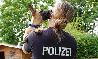 In zwei Jahren soll der (noch) kleine Pivo ein vollwertiges Mitglied der Bielefelder Polizei sein. - Paul Brinkmann In zwei Jahren soll der (noch) kleine Pivo ein vollwertiges Mitglied der Bielefelder Polizei sein. - Paul Brinkmann