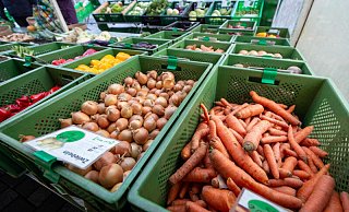 Der Wochenmarkt in Paderborn zieht während der Weihnachtszeit auf den Liboriberg. - Niklas Tüns Der Wochenmarkt in Paderborn zieht während der Weihnachtszeit auf den Liboriberg. - Niklas Tüns