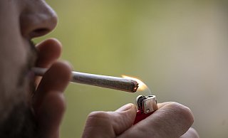 Seit April ist der Konsum von Cannabis teilweise legalisiert. - Symbolfoto: dpa Seit April ist der Konsum von Cannabis teilweise legalisiert. - Symbolfoto: dpa