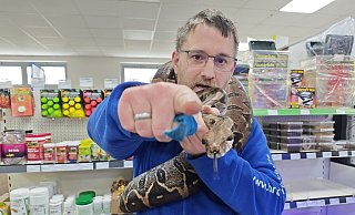 "Da ist die Kamera, Chantal": Brakeler-Tierwelt-Inhaber Sven Dietrich erklärt der Boa Chantal, wie es beim Fotoshooting läuft. - Svenja Ludwig "Da ist die Kamera, Chantal": Brakeler-Tierwelt-Inhaber Sven Dietrich erklärt der Boa Chantal, wie es beim Fotoshooting läuft. - Svenja Ludwig