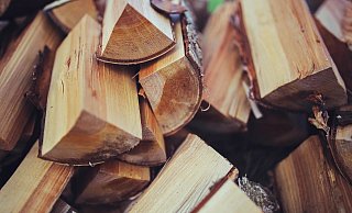 Im Herbst und WiInter heizen viele Menschen mit Holz. Weil in Paderborn so viele Fichten gefällt werden mussten, sind die besonders günstig. - Pexel Im Herbst und WiInter heizen viele Menschen mit Holz. Weil in Paderborn so viele Fichten gefällt werden mussten, sind die besonders günstig. - Pexel
