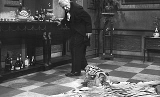 So wie der Tigerkopf im Kultsketch "Dinner for One" ein Risiko für Butler James darstellt, bieten auch Löhner Ratssitzungen diverse Stolperfallen für die Politiker. - picture-alliance/ dpa So wie der Tigerkopf im Kultsketch "Dinner for One" ein Risiko für Butler James darstellt, bieten auch Löhner Ratssitzungen diverse Stolperfallen für die Politiker. - picture-alliance/ dpa