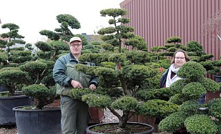Die Gartenbonsais, die Hans-Joachim und Kerstin Kleimann aus Japan importieren, sind bis zu 150 Jahre alt. Sie kommen zunächst in Quarantäne. - Frank-Michael Kiel-Steinkamp Die Gartenbonsais, die Hans-Joachim und Kerstin Kleimann aus Japan importieren, sind bis zu 150 Jahre alt. Sie kommen zunächst in Quarantäne. - Frank-Michael Kiel-Steinkamp