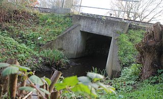 Der Markbach plätschert unter der Bahnlinie hindurch. Dieser Durchlass muss noch vergrößert werden. - Florian Weyand Der Markbach plätschert unter der Bahnlinie hindurch. Dieser Durchlass muss noch vergrößert werden. - Florian Weyand