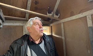 Der Blick geht ins Leere: Taubenzüchter Eckart Hammer beklagt den Verlust von 77 Tieren. Die Vögel sind aus zwei Schlägen auf dem Hof zwischen Gütersloh und BIelefeld geklaut worden. - Christian Bröder Der Blick geht ins Leere: Taubenzüchter Eckart Hammer beklagt den Verlust von 77 Tieren. Die Vögel sind aus zwei Schlägen auf dem Hof zwischen Gütersloh und BIelefeld geklaut worden. - Christian Bröder
