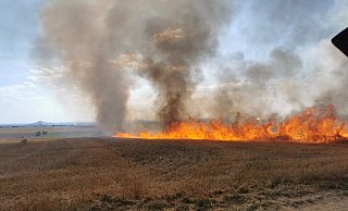 Beim Brand des Getreidefelds bei Rösebeck waren 80 Einsatzkräfte vor Ort. - FFW Borgenteich Beim Brand des Getreidefelds bei Rösebeck waren 80 Einsatzkräfte vor Ort. - FFW Borgenteich