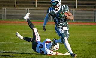 Vergeblich gestreckt: Wieder mal hat Bulldogs-Quarterback Malik Brown einen Gegner abgeschüttelt. - Andreas Zobe Vergeblich gestreckt: Wieder mal hat Bulldogs-Quarterback Malik Brown einen Gegner abgeschüttelt. - Andreas Zobe