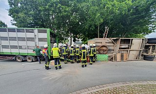 Der Viehanhänger des Gespanns stürzte auf die Seite. - Feuerwehr Borchen Der Viehanhänger des Gespanns stürzte auf die Seite. - Feuerwehr Borchen