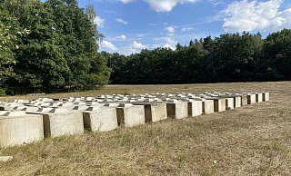 Gut 100 Betonquader sind an den Thune-Wiesen am Randbereich des Truppenübungsplatzes Senne abgestellt worden. - Marc Schröder Gut 100 Betonquader sind an den Thune-Wiesen am Randbereich des Truppenübungsplatzes Senne abgestellt worden. - Marc Schröder
