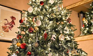 Von Arminia bis kitschig - an Weihnachten ist alles erlaubt. - Pixabay Creative Commons (Symbolbild) Von Arminia bis kitschig - an Weihnachten ist alles erlaubt. - Pixabay Creative Commons (Symbolbild)