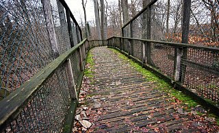 Die gesperrte Wolfsbrücke macht einen ungepflegten Eindruck - sie soll aber auch geschlossen bleiben. Mit wenigen Ausnahmen. - Barbara Franke Die gesperrte Wolfsbrücke macht einen ungepflegten Eindruck - sie soll aber auch geschlossen bleiben. Mit wenigen Ausnahmen. - Barbara Franke
