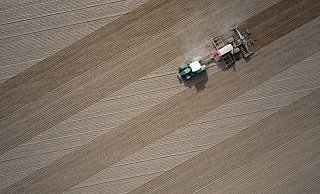 Ein Landwirt bestellt im brandenburgischen Jacobsdorf sein Feld. - Patrick Pleul/dpa Ein Landwirt bestellt im brandenburgischen Jacobsdorf sein Feld. - Patrick Pleul/dpa